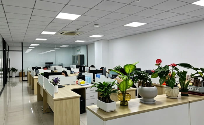 Strong Execution Capability of Our Team